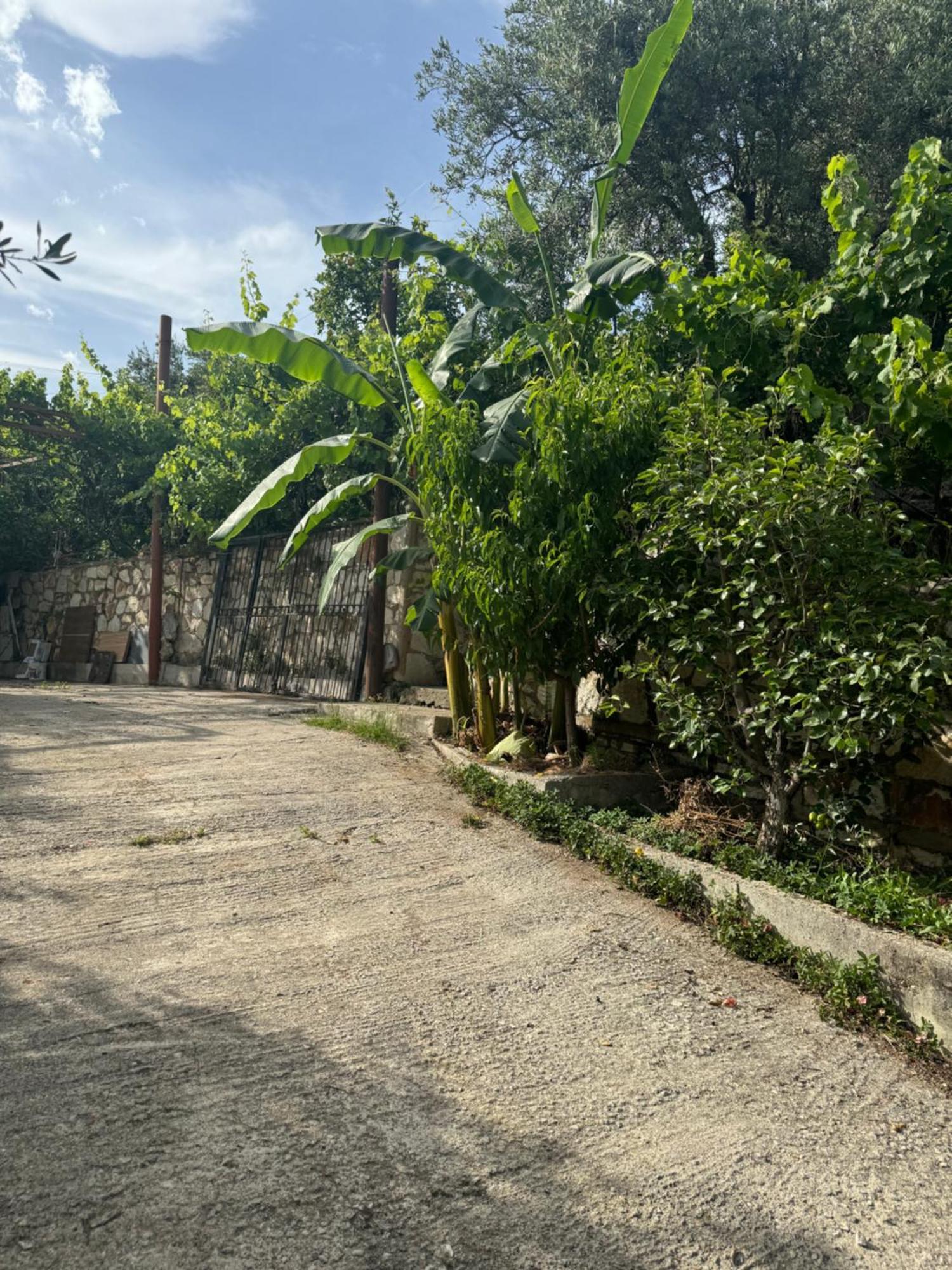 Uzeiri'S Houses Borsh Luaran gambar